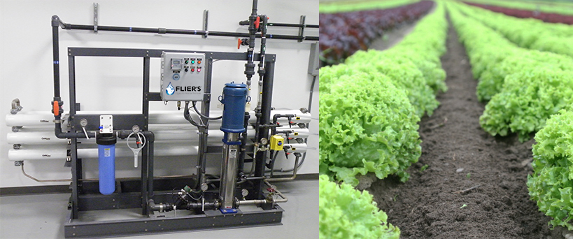 Commercial Reverse Osmosis System